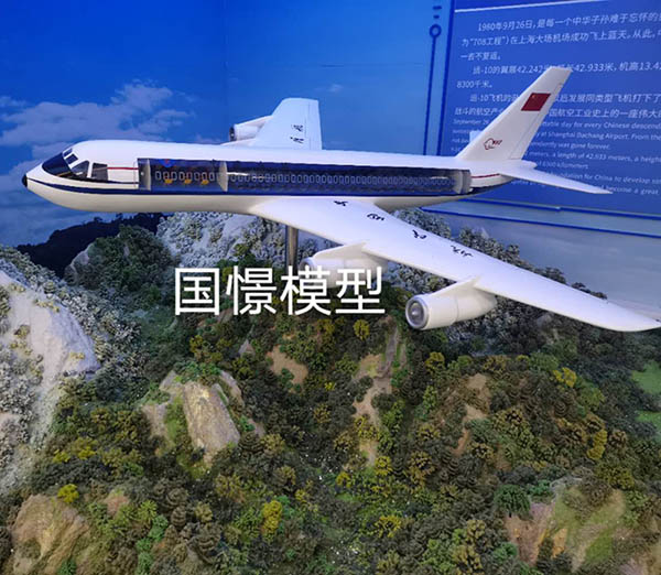 武定县飞机模型
